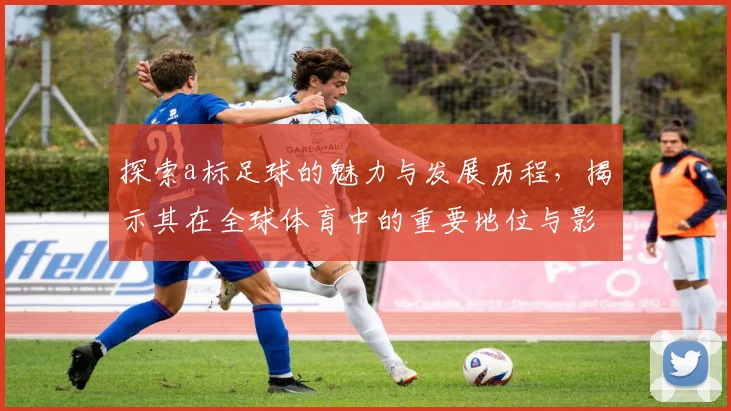 探索a标足球的魅力与发展历程，揭示其在全球体育中的重要地位与影响力