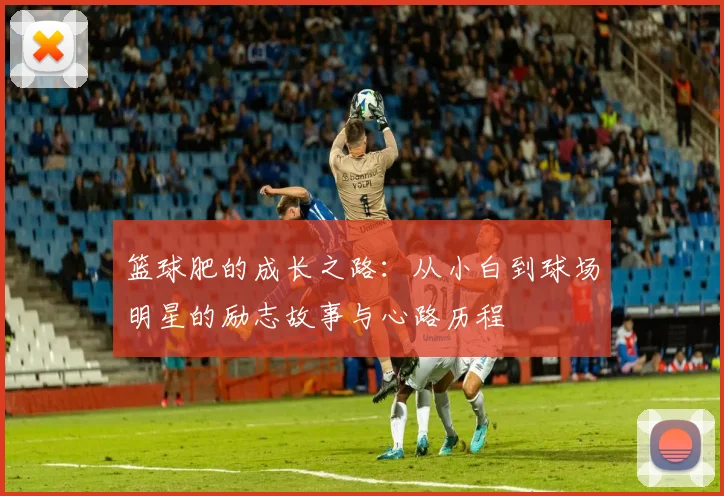 篮球肥的成长之路：从小白到球场明星的励志故事与心路历程