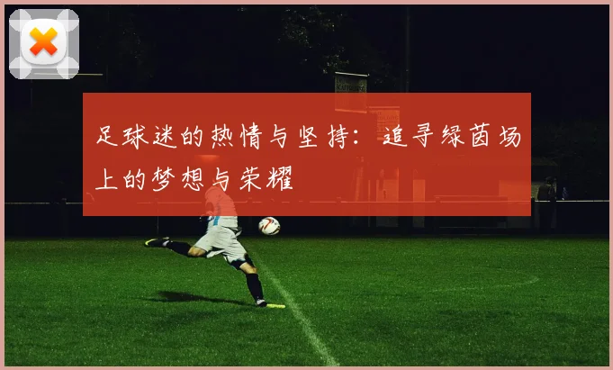 足球迷的热情与坚持：追寻绿茵场上的梦想与荣耀