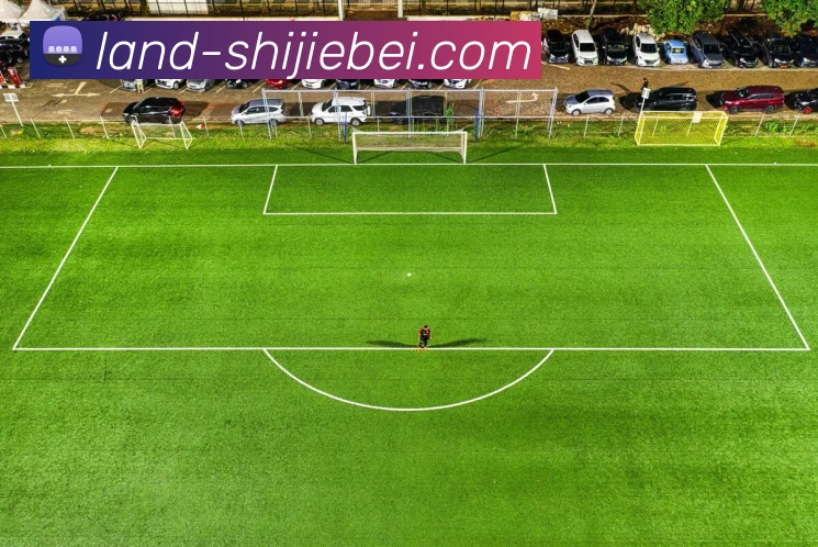 2026世界杯平台生态图